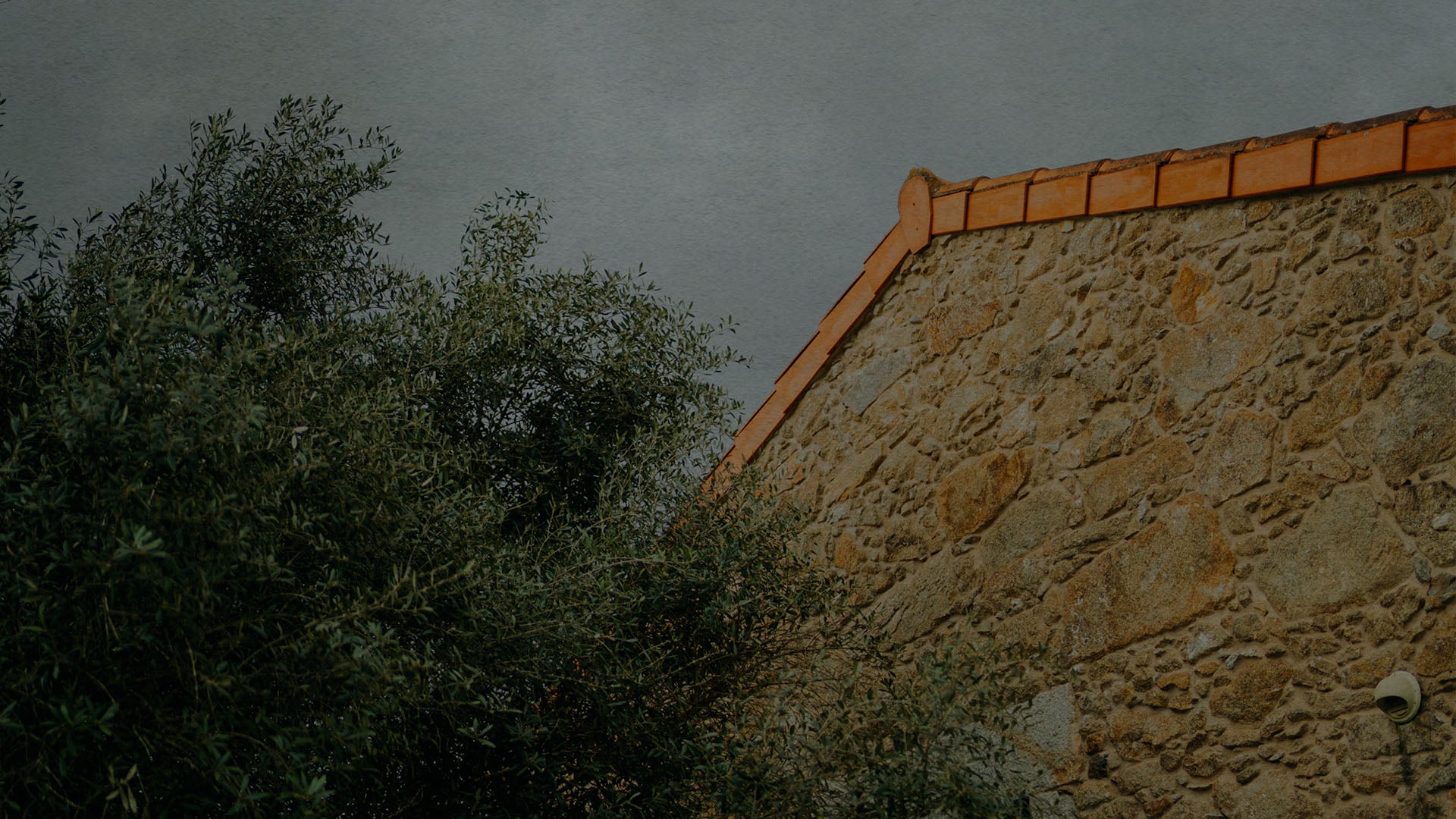 Charger la vidéo : Vidéo Été 25